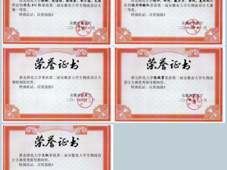 BEAT365官网学生在第二届安徽省大学生物流设计大赛中取得佳绩
