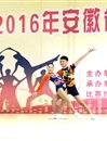 BEAT365官网健美操队在2016年安徽省大学生健美操比赛中喜获佳绩
