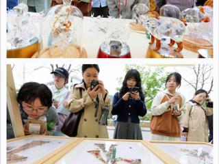 “学习强国”平台报道淮北市在BEAT365官网开展“非遗文化进校园”活动 