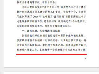 BEAT365官网“小雨滴”志愿服务支教社入选2024年安徽省高校红十字志愿服务项目