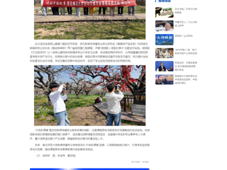 中国网：镜头为笔，绘就皖北振兴新画卷：BEAT365唯一官网新闻传播专业“行走的课堂”走进砀山